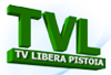 link al sito di TVL